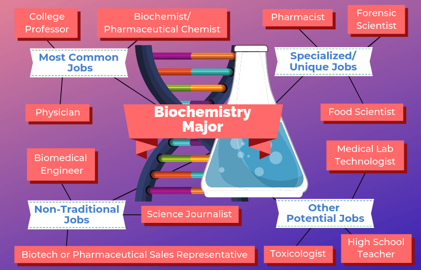 Pekerjaan 12 Untuk Jurusan Biokimia Jaringan Universitas