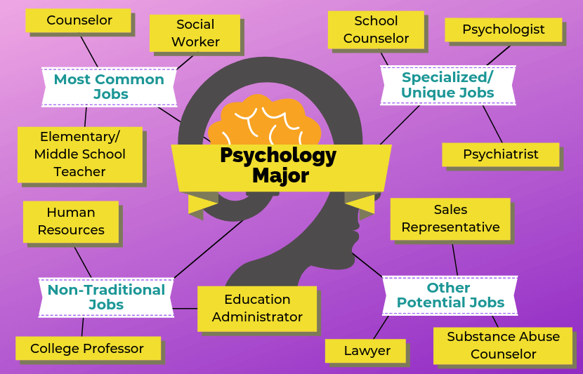 12 Jobs for Psychology Majors The University Network