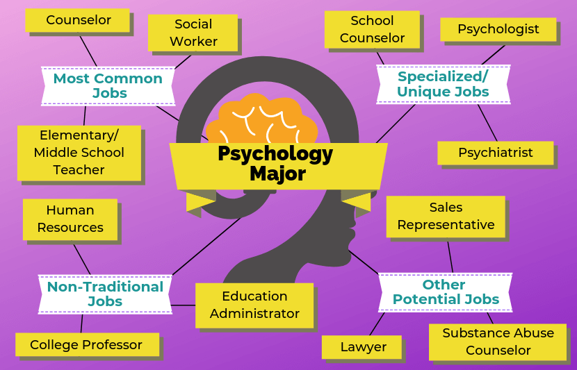 12 Jobs For Psychology Majors The University Network