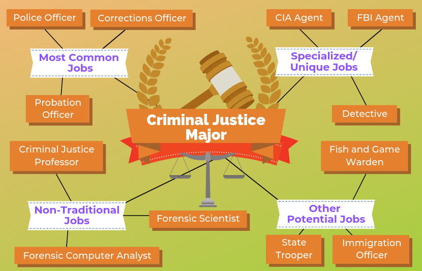Online Bachelor Of Science In Criminal Justice Degree Emajor