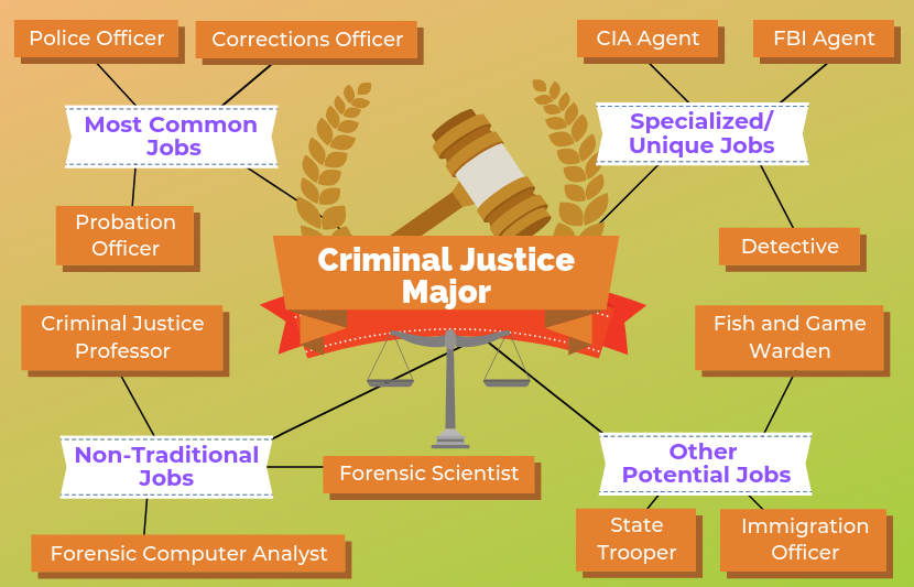 12 Jobs For Criminal Justice Majors The University Network