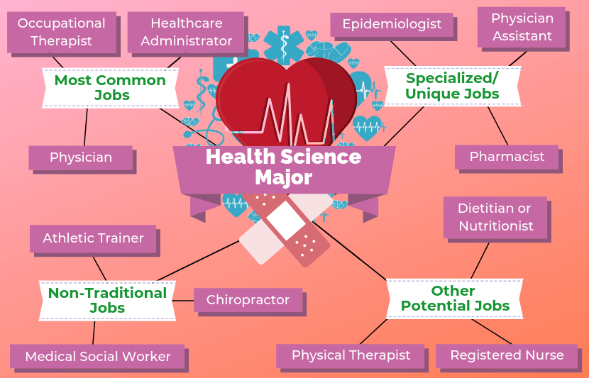 12 Jobs For Health Science Majors The University Network