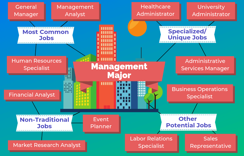 12 Jobs For Management Majors The University Network