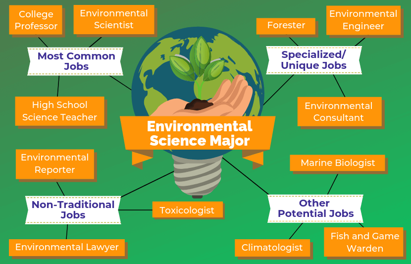 12 Jobs For Environmental Science Majors The University Network