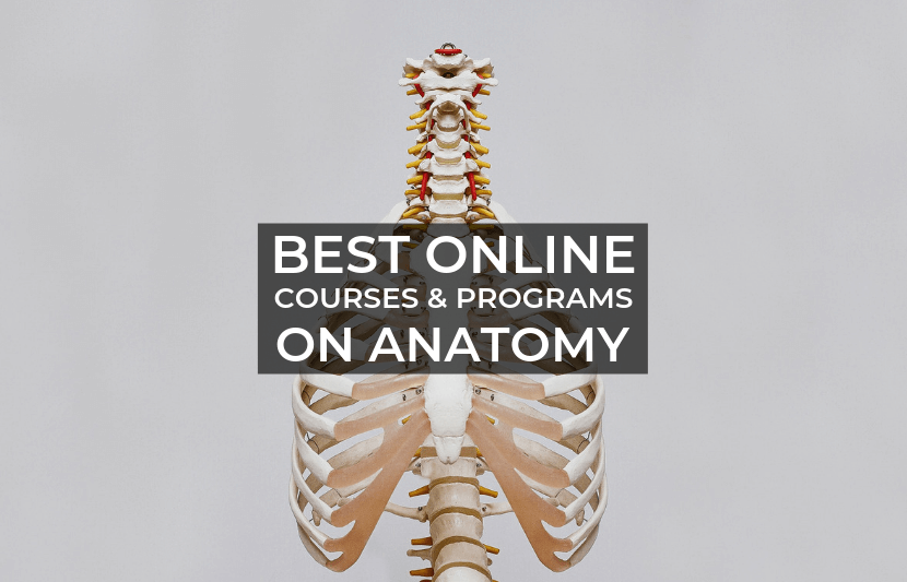 best medical human anatomy program